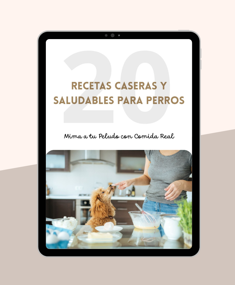 20 Recetas Caseras y Saludables para Perros